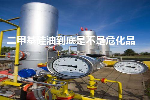 二甲基硅油到底是不是?；纺?？一起來(lái)看看